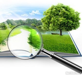 МЕЖЕВОЙ ПЛАН